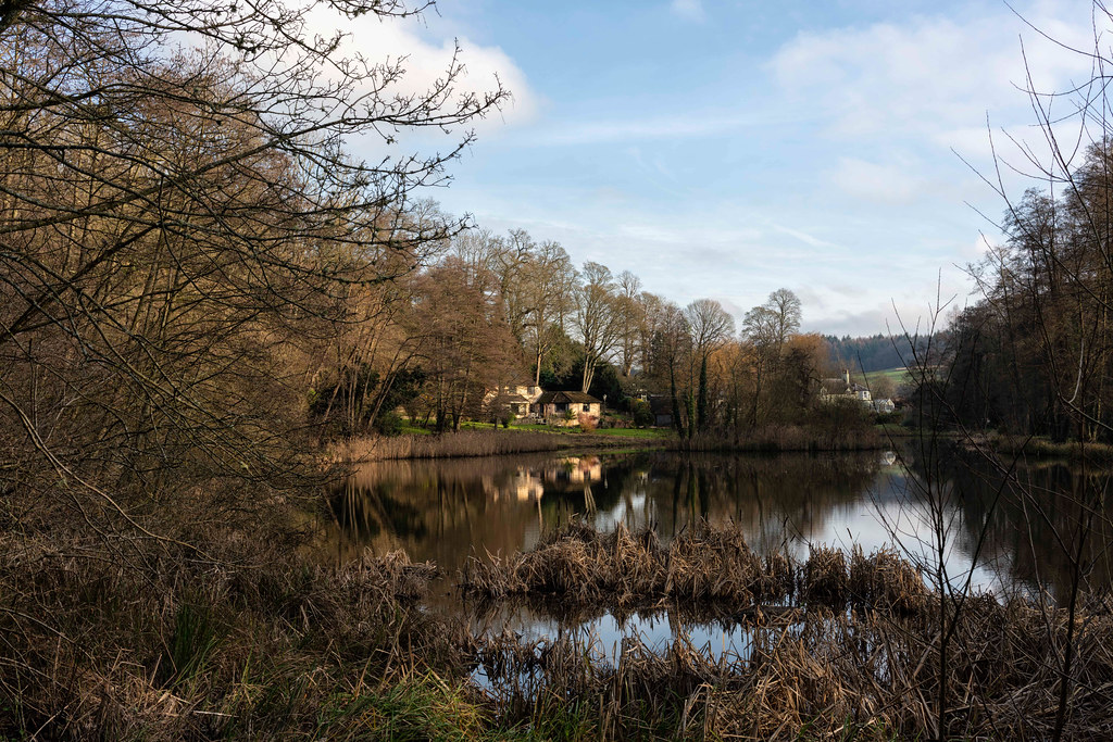 Pond, Chilworth, Surrey tonybill Flickr