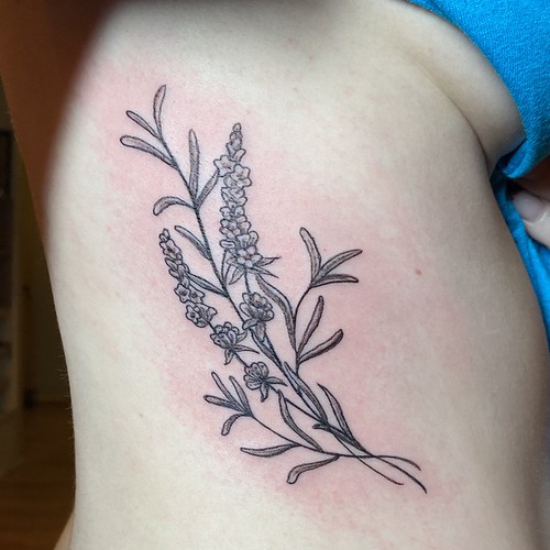 Untitled Bella Rose Tattoo Chicago Flickr