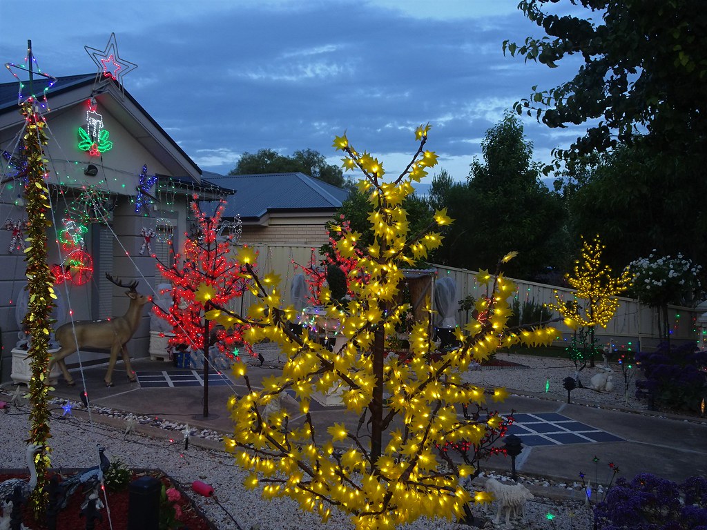 Adelaide. Christmas ligths at dusk. denisbin Flickr