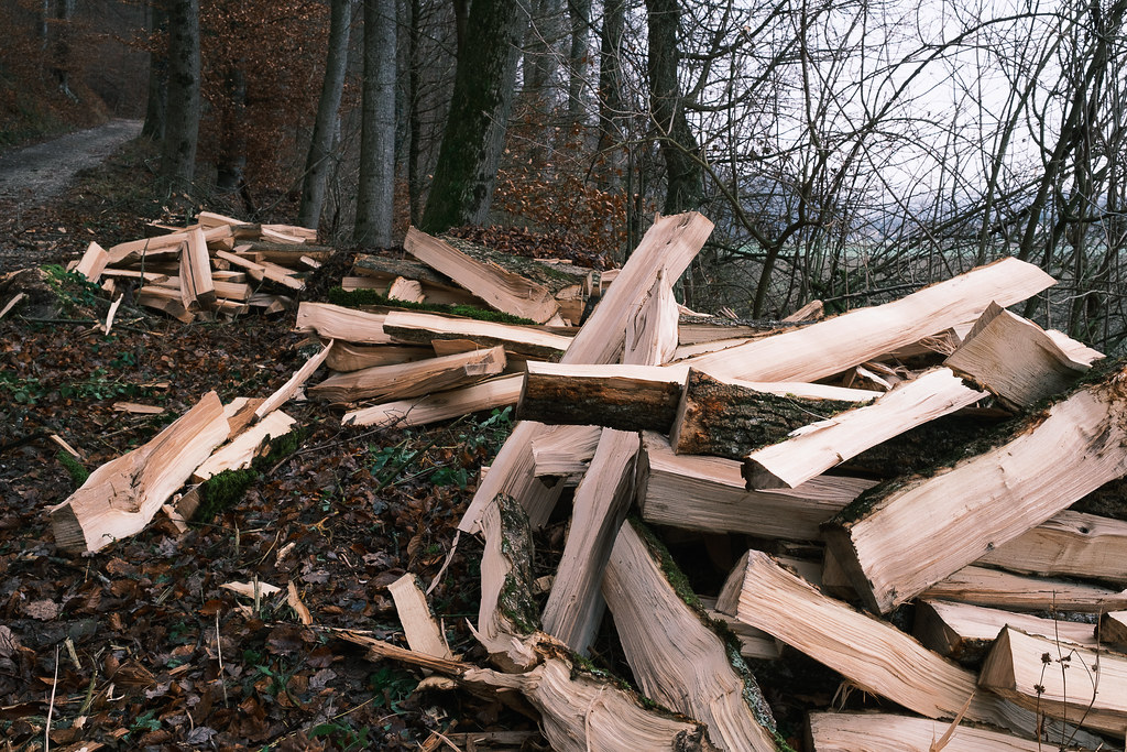 XXL Mikado Role Bigler Flickr