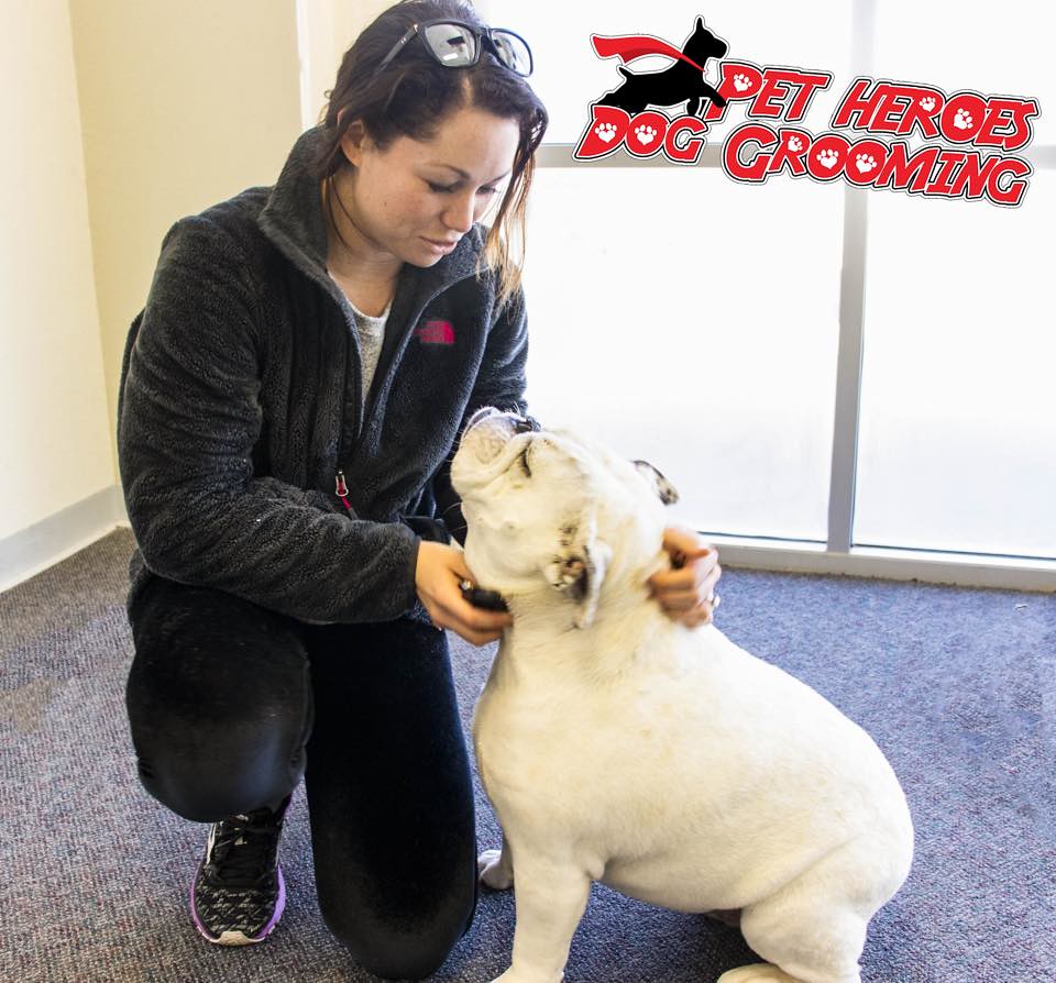 Dog Groomers El Paso Texas, Pet Groomers El Paso Texas Flickr