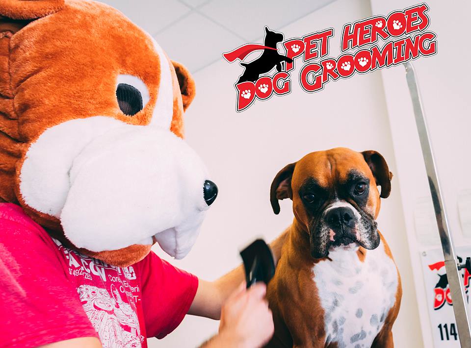 Dog Grooming El Paso Texas, Pet Grooming El Paso Texas Flickr