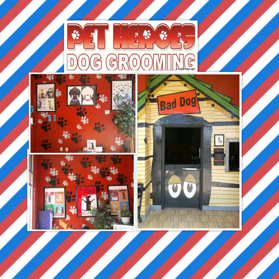 Mobile Dog Grooming El Paso Texas at Willie Vanderpool blog