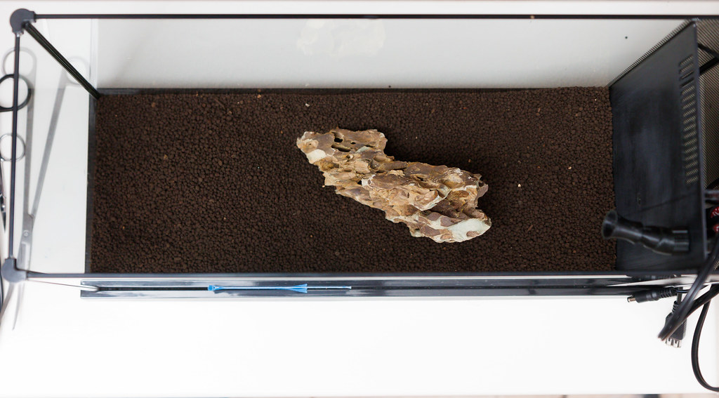 ADA Amazonia II Substrate Review SpecTanks