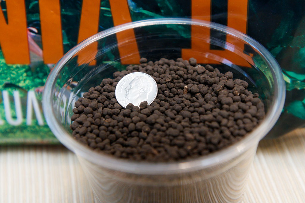 ADA Amazonia II Substrate Review SpecTanks