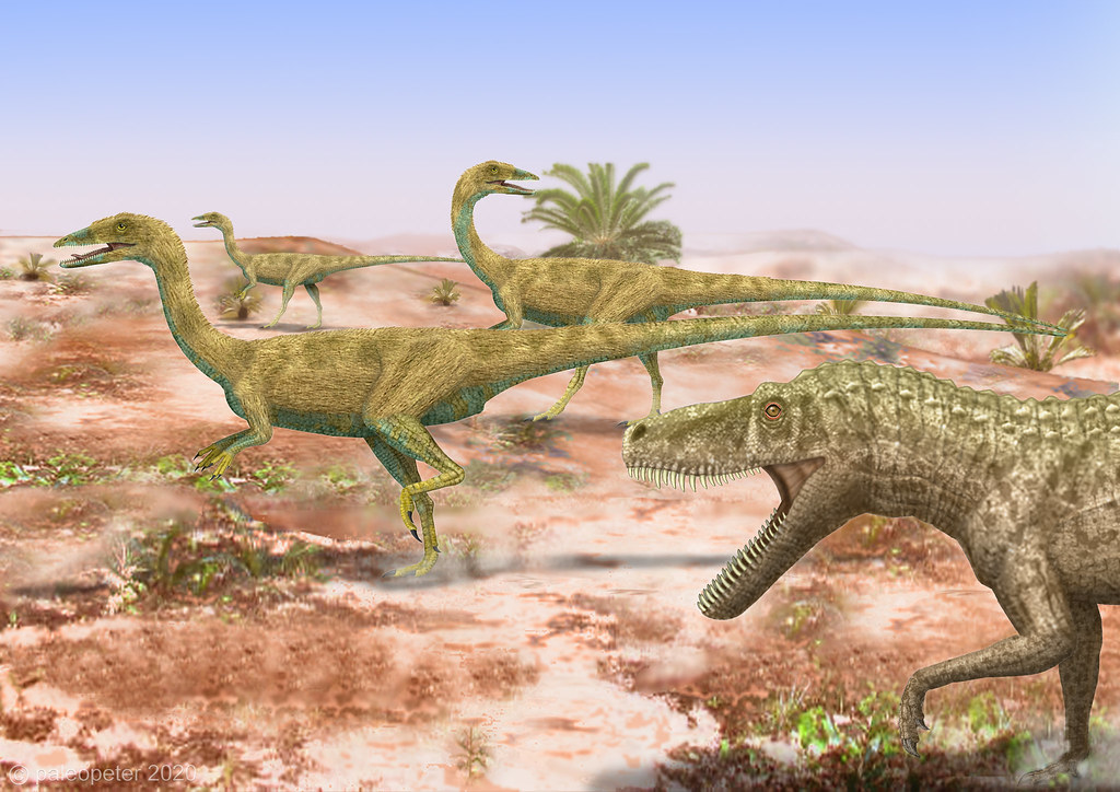 Ceolophysis Updated 02 02 2020 Name Coelophysis