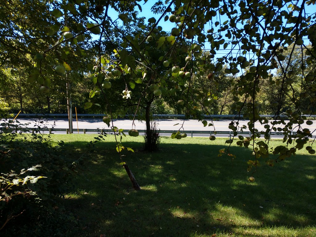 Charing Park Upper Arlington, Ohio Dan Keck Flickr