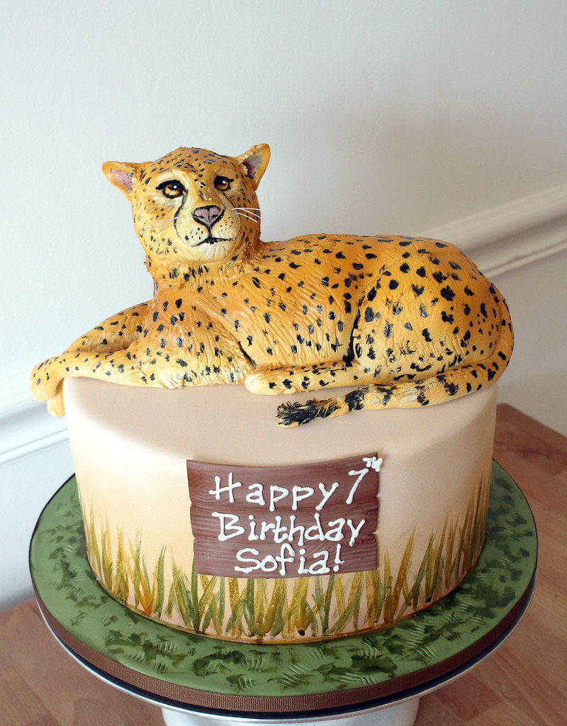 Cheetah Cake Oakleaf Cakes Flickr