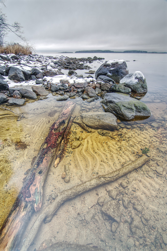 Wood in water A colourful piece of wood in water photograp… Flickr