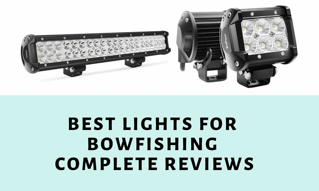 TOP 8 BEST BOWFISHING LIGHTS FOR MUDDY WATER IN 2020 Flickr