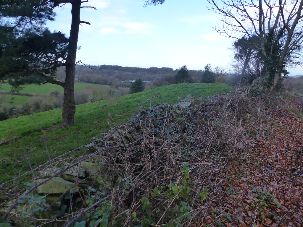 20200103ymd Wlk frm BirkinPearce Ln Jnctn Wing_0001 Grt Pond of