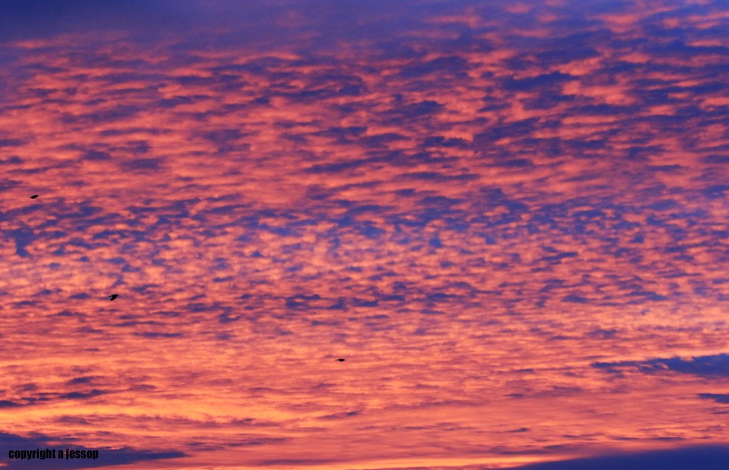 Hawarden 04/01/2020 Flickr