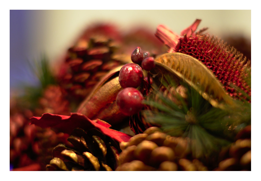 Christmas decorations come down DSC_0787_0001 Jonathan Burley Flickr