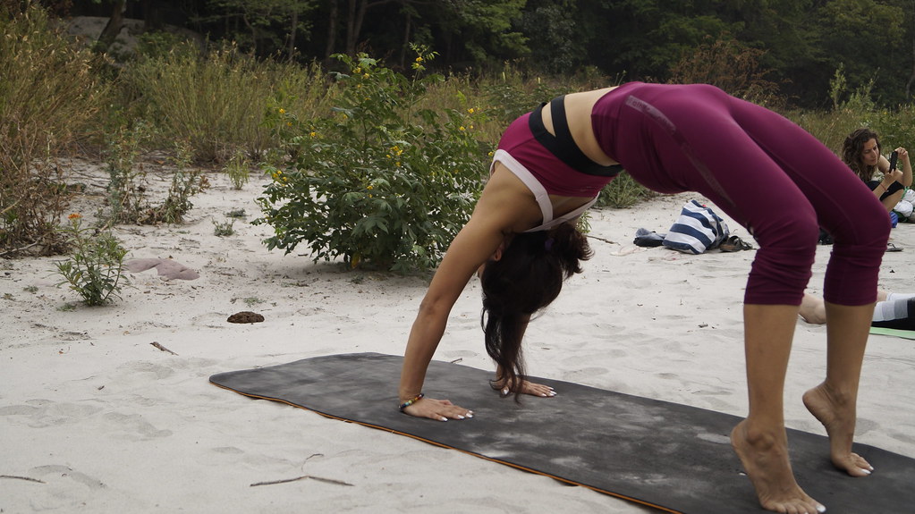 Yoga Teacher Training Rishikesh World Peace Yoga School Flickr