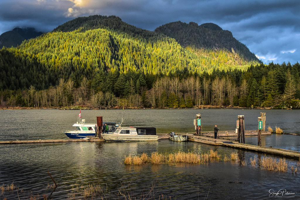 Pitt Lake/ PittAddington Marsh Wildlife Management Area (… Flickr