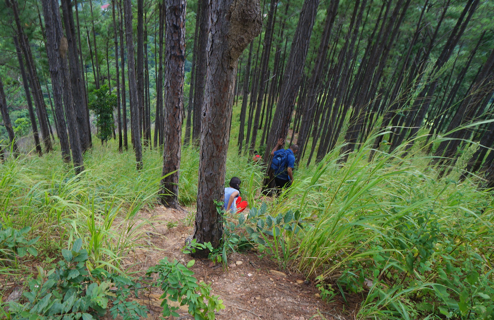 Hike to the Top of Mount Tabor QUAD TT