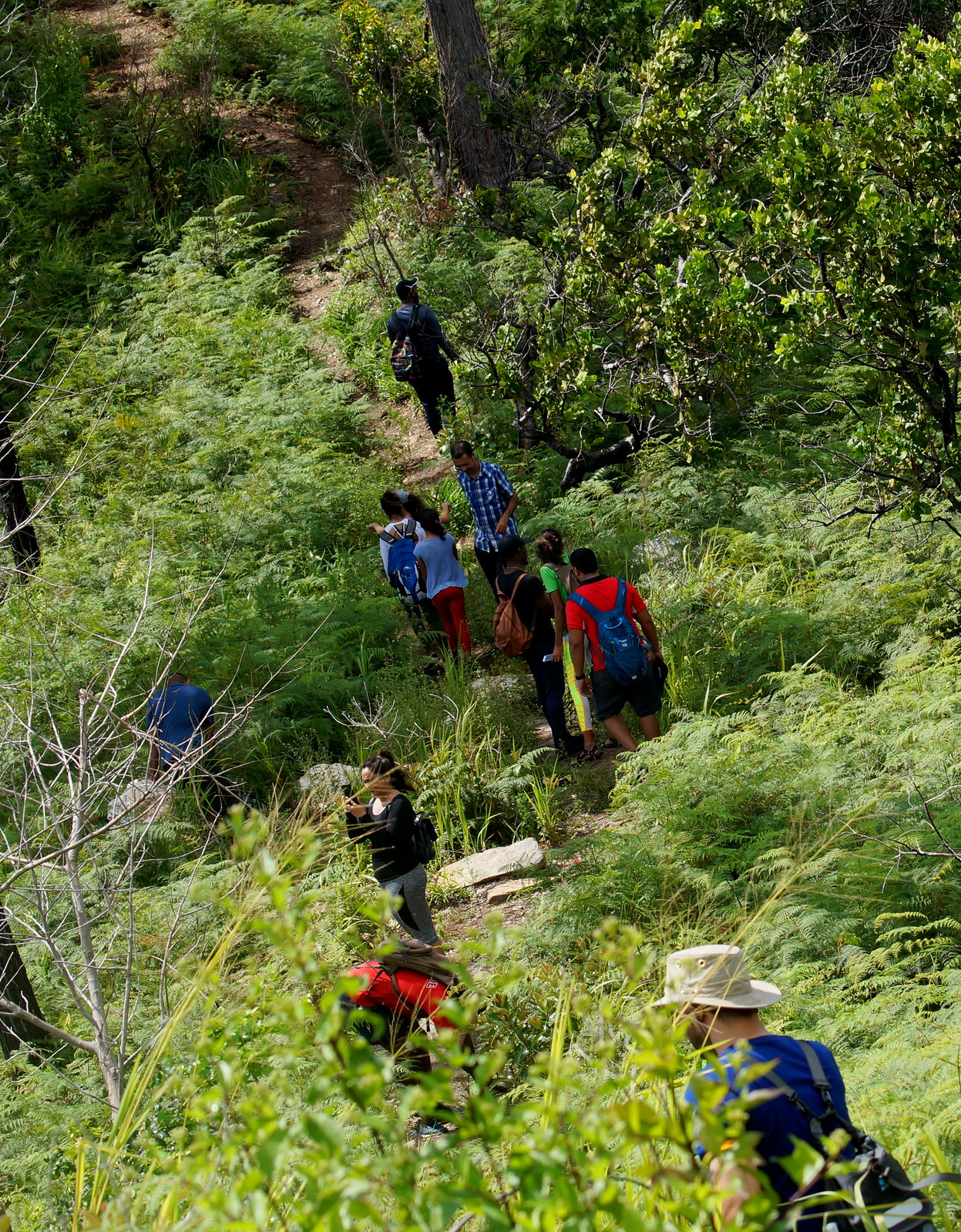 Hike to the Top of Mount Tabor QUAD TT