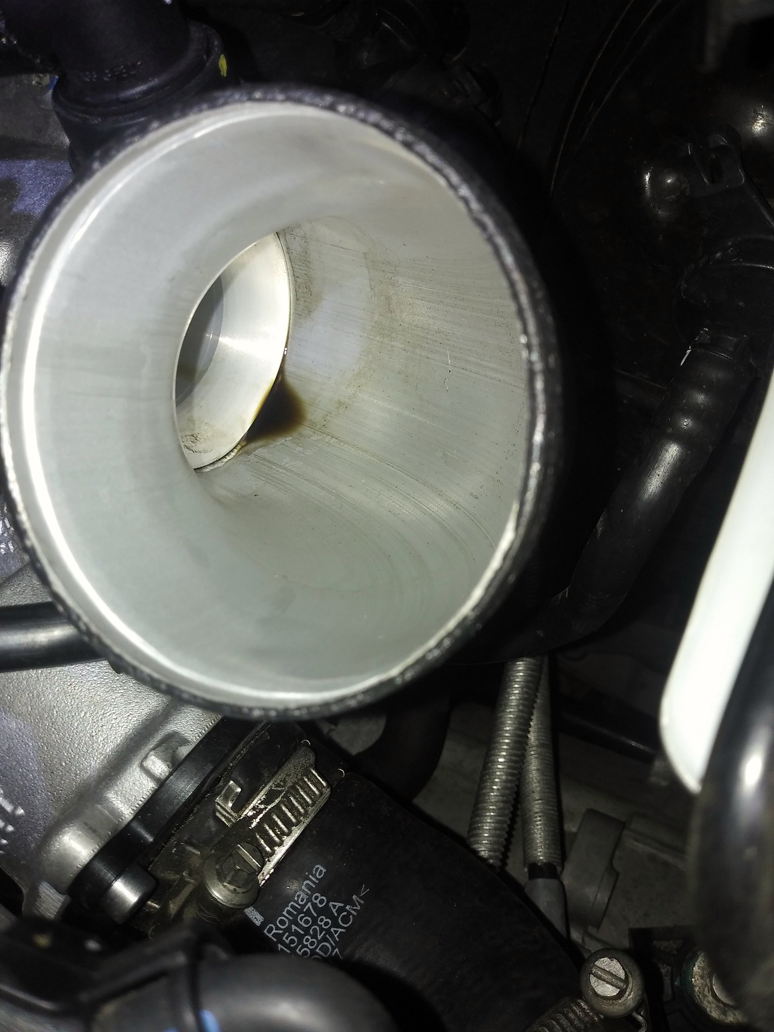 wee bit of oil in cold (intake) side of turbo, normal? VW Vortex