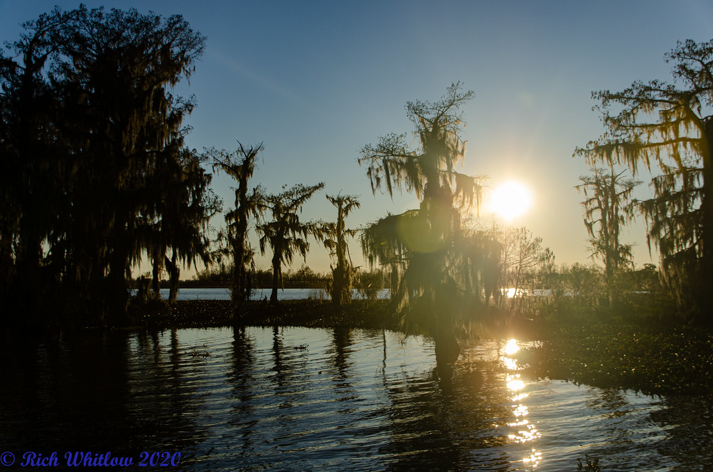 Bayou Black95 2020 Black Bayou Rich Whitlow Flickr