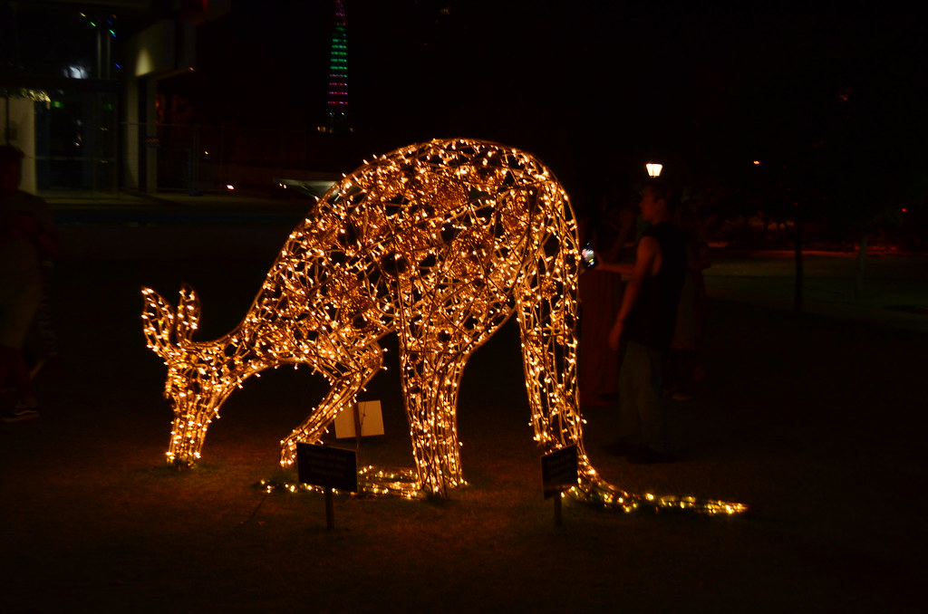 Christmas lights Perth, December 2019 dok1969 Flickr