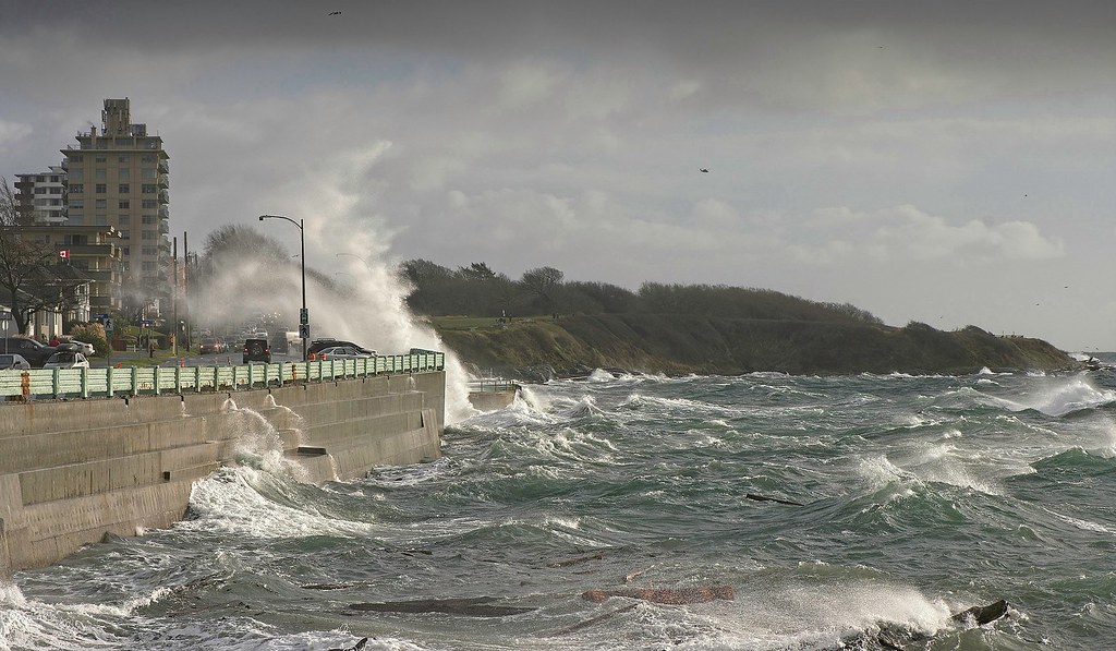 20200112Z7_8237FLR Car wash Victoria style. Although I wou… Flickr