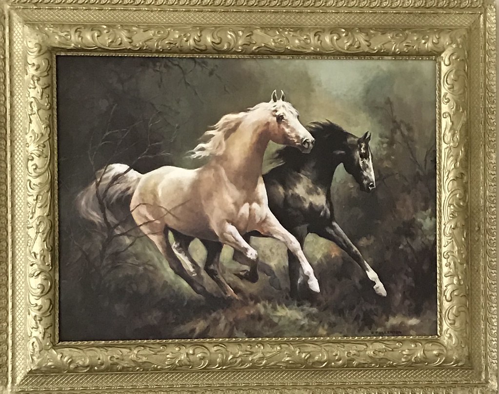 Midnight and Moonbeam Vintage 1972_ by Phyllis Fullerton e… Flickr