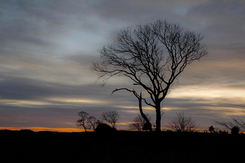 Meadow Riggs, Alnwick NE66 1AP イギリス日の出日の入り時間