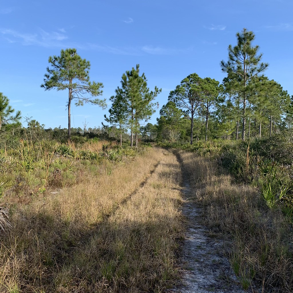 Elevation of Beacon Woods, Point, FL, USA Topographic Map