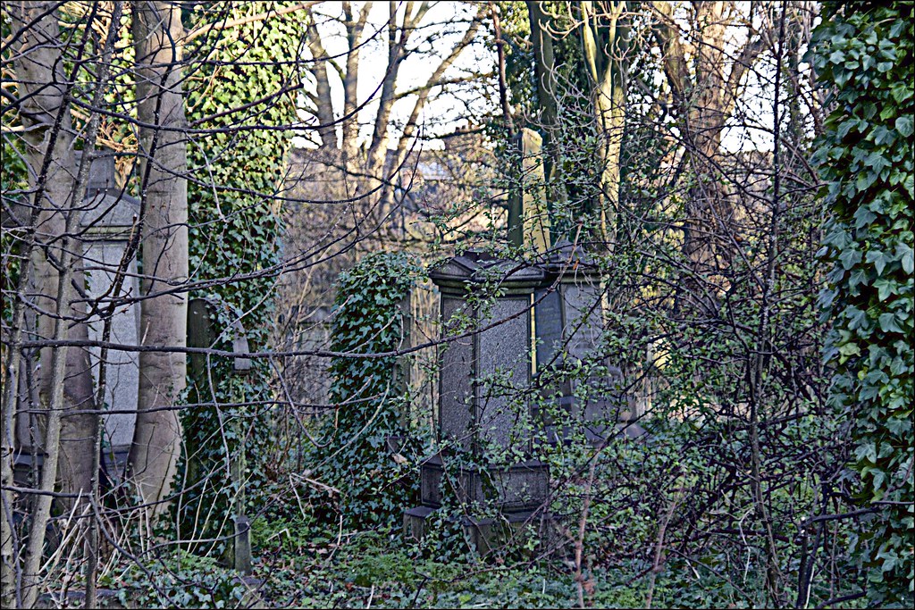 Spring Bank West HGC Hull General Cemetery Spring Back Wes… Flickr