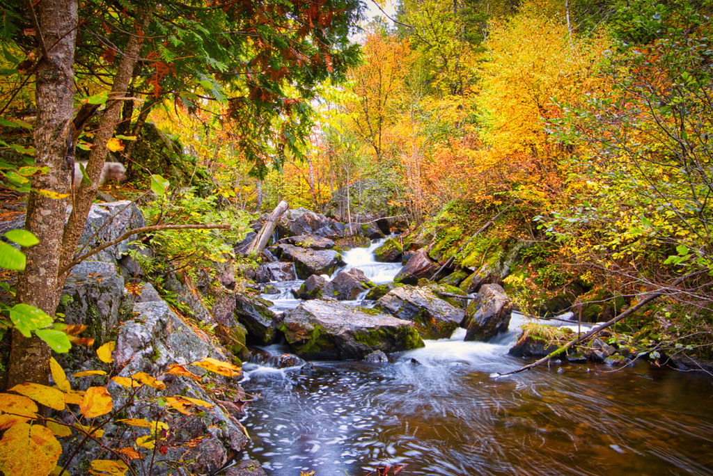 Rock Dam Falls UP of Michigan a photo on Flickriver