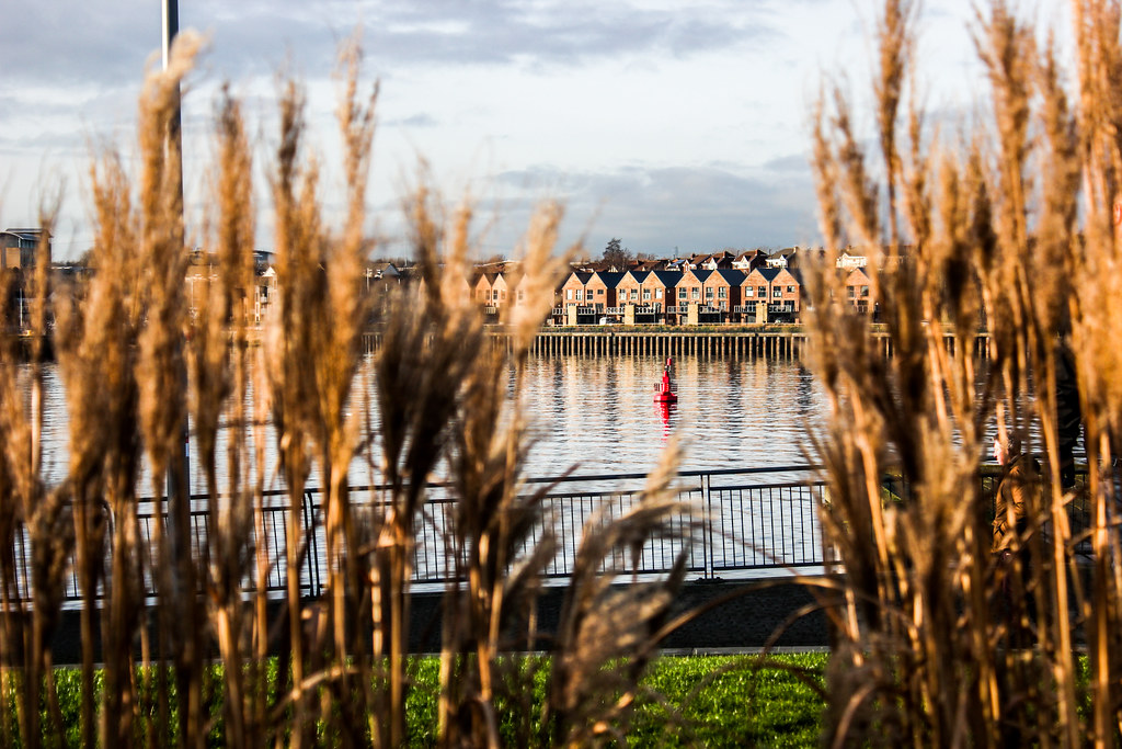 South Shields Riverside 10012020 Flickr