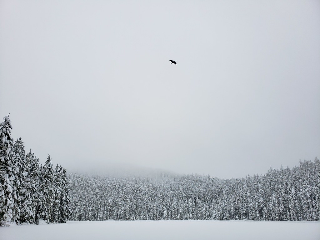 January 2020 Frog Lake SnoPark and Twin Lakes trail Flickr
