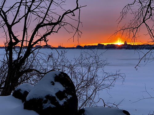 January 20, 202 sunrise | Ann Althouse | Flickr