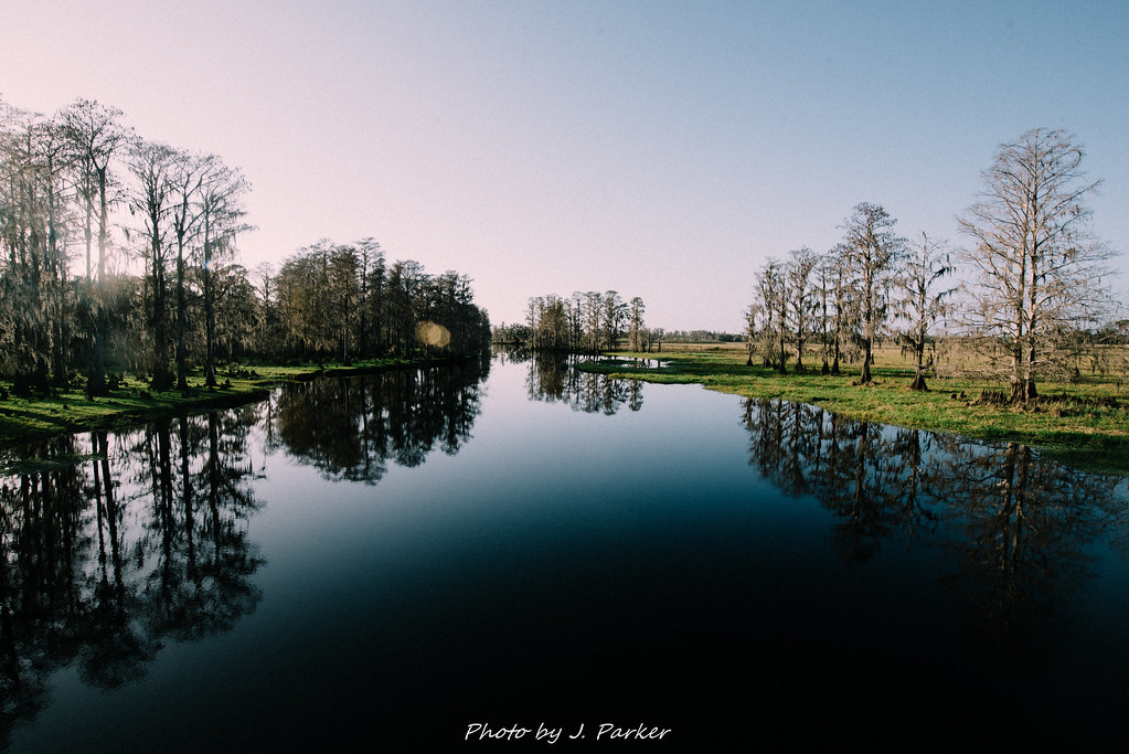 Arbuckle Creek Arbuckle Creek flows west of the Kissimmee … Flickr