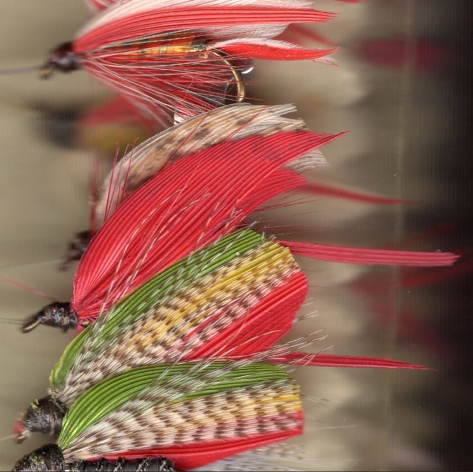 old trout flies These flies were tied during the historic … Flickr