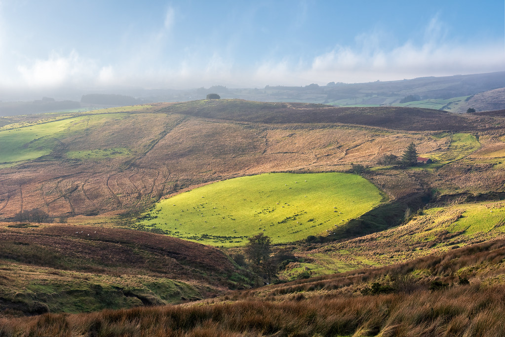 “The Hexagon Field of Vinegar Hill” Vinegar Hill Loop, Cra… Flickr