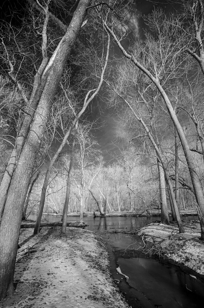 _DSC8262 Along the Passaic river, Florham Park, NJ Dreux Sawyer