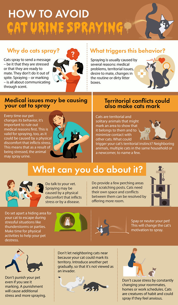 How to Avoid Cat Urine Spraying Many cat owners have to de… Flickr