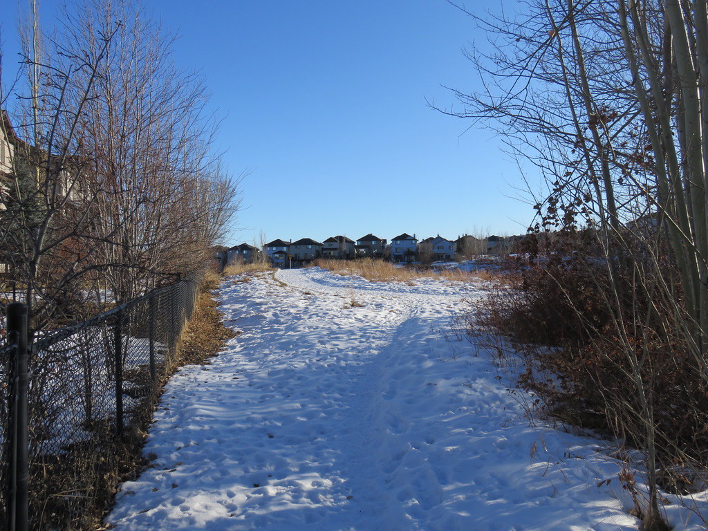 Day61410 Kincora Trail near Kincora View