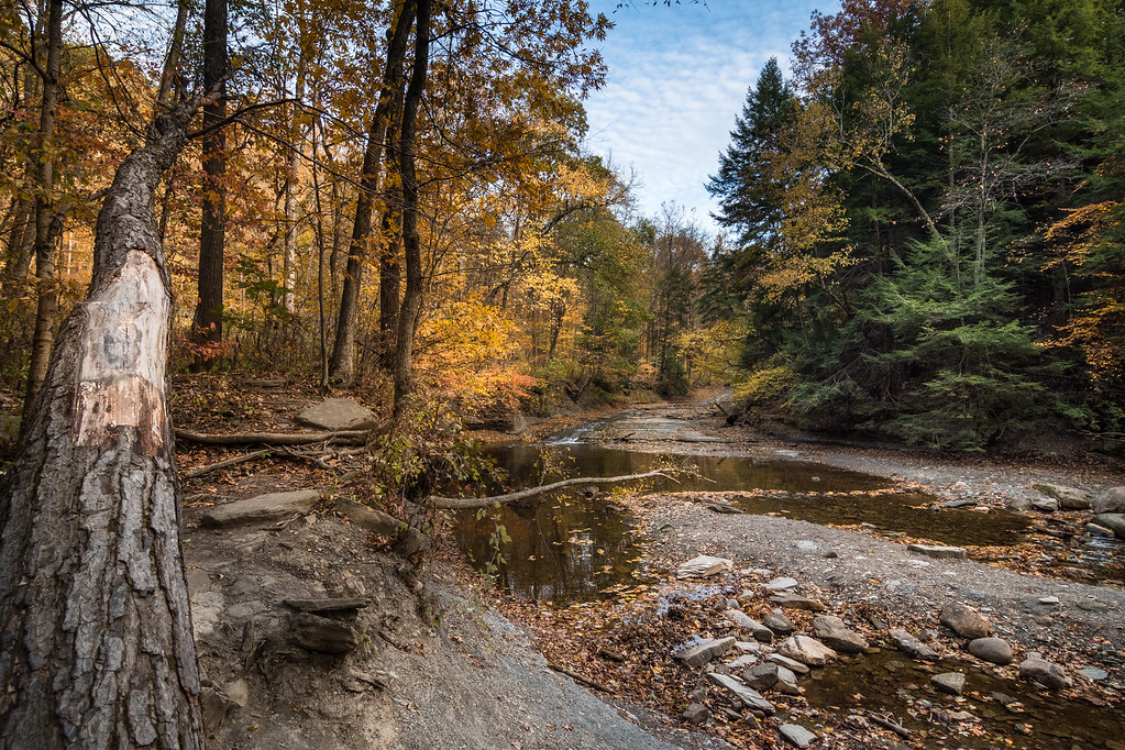 Brandywine Creek Along the Brandywine Trail. Every w… Flickr