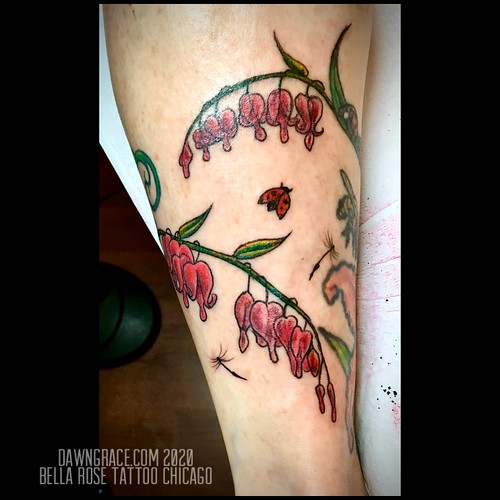 Untitled Bella Rose Tattoo Chicago Flickr