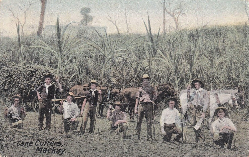Cane cutters in Mackay, Qld circa 1908 Aussiemobs Flickr
