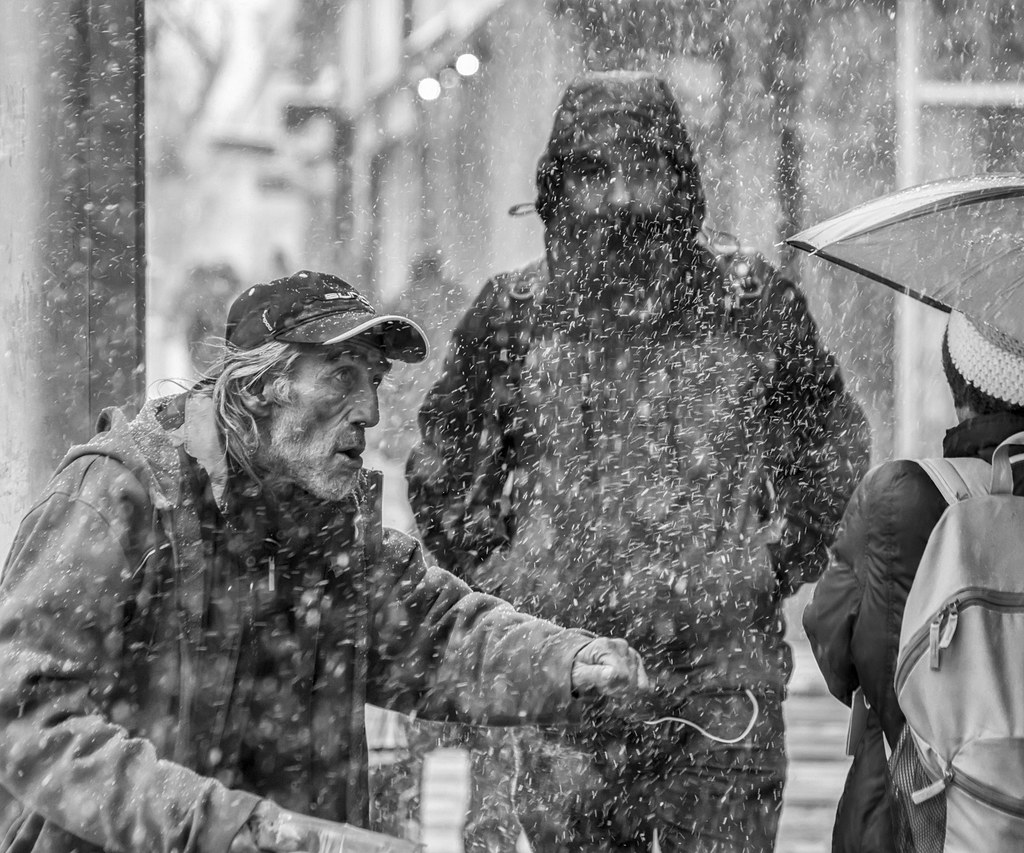 Queen Street East, 2019 (IMGP3826C (2)) Stephanie Swift Flickr