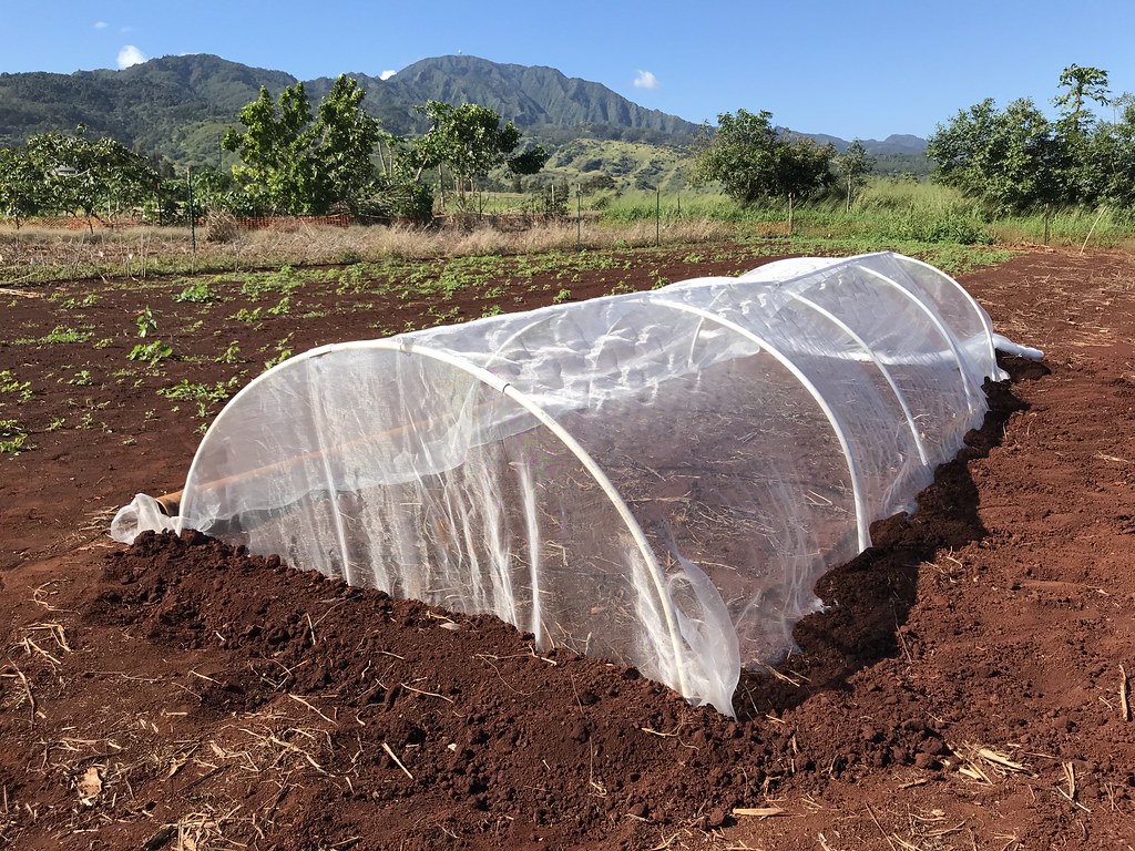 DIY Low Tunnel Screen System Flickr