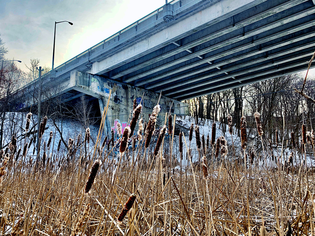 Cedarvale Park Toronto Arjen van der Broek Flickr