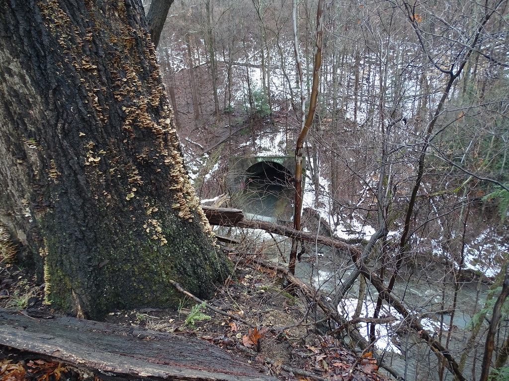 Woodlands of Bedford Winter Season 12520 Flickr