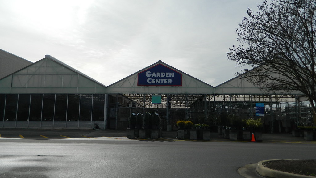 Lowe's a photo on Flickriver