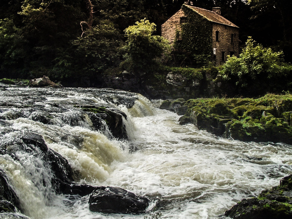 cenarth falls A famous spot for seeing salmon jumping. Mal Jones