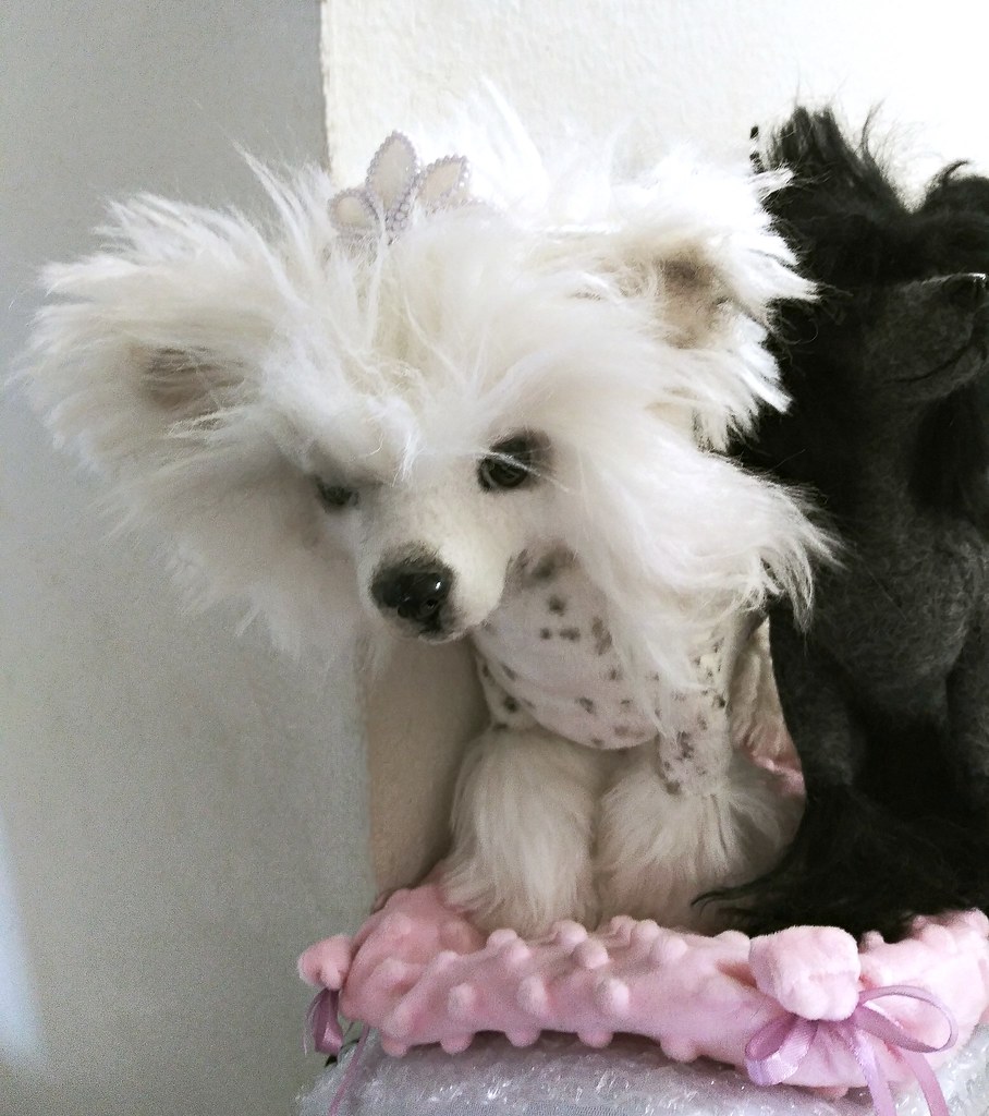 Chinese Crested plush creations Got these great fake fur d… Flickr