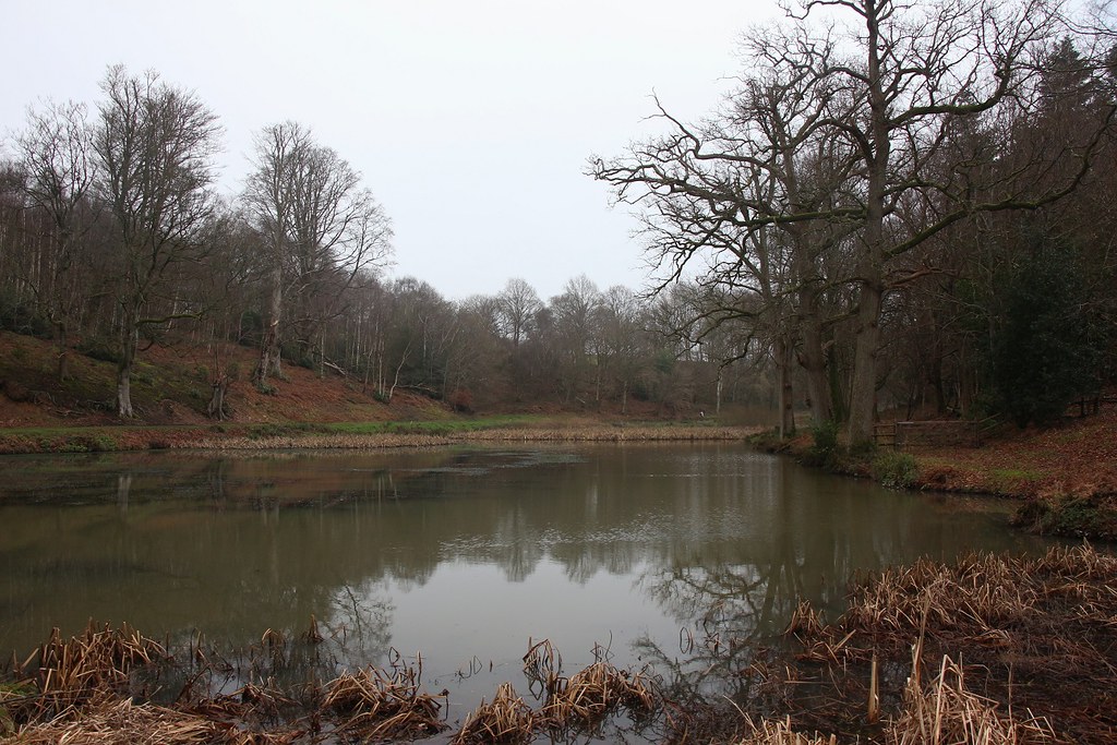 Eridge to East Grinstead 25 Jan 2020 SWC2 Steven Coles Flickr